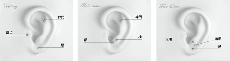 耳ツボの位置